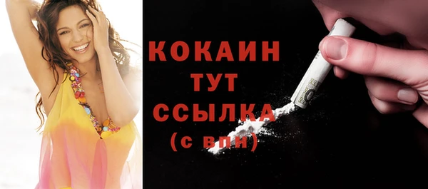 кокс Богородицк