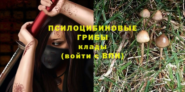 кокаин перу Белокуриха